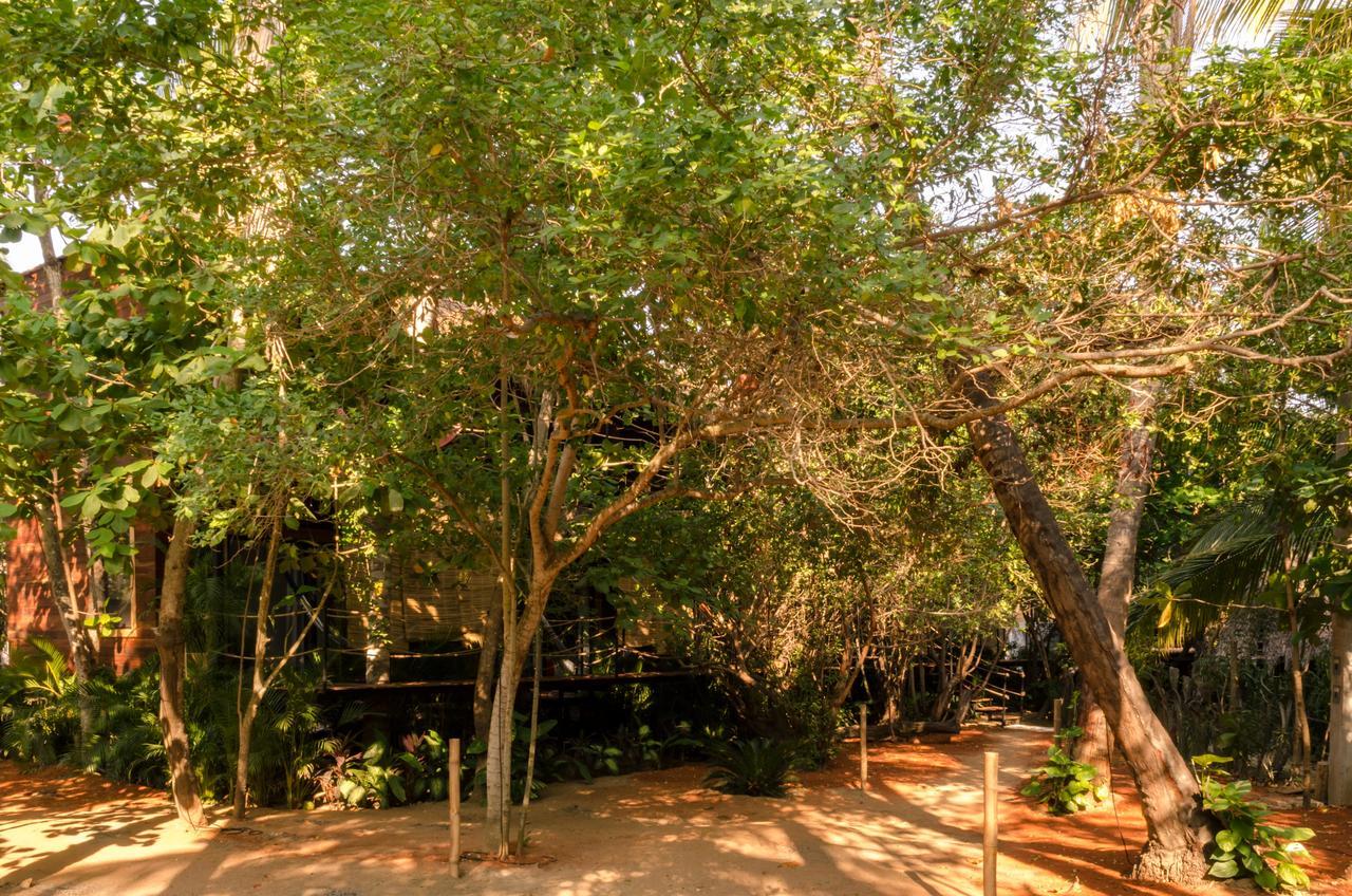 סיפוליטה Hotel Noga מראה חיצוני תמונה